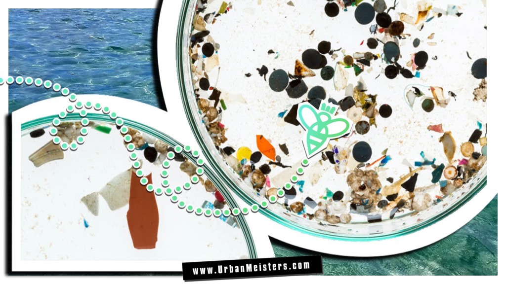 microbeads marine pollution